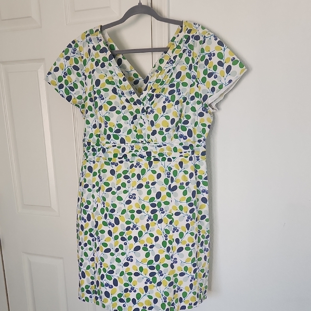 ✨️ Boden Regatta Cotton Pleated Olive Branch Women's Dress Sz 14R